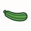 Zucchini