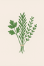 Herbs