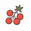 Cherry tomatoes